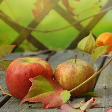 Homeschooling for a Harvest